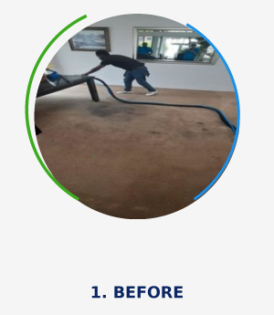 Bedfordview Carpet Cleaning Before