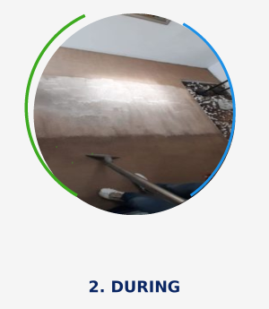 Bedfordview Carpet Cleaning During