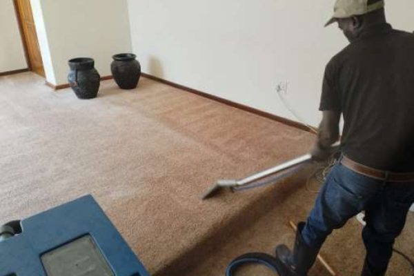 Carpet Cleaning